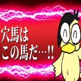 「ダイヤモンドS予想」 RTしたら割引で読めます。   坂が4つもある特殊なコース・府中芝3400m。 ハンデ戦でもあり、毎年特有の荒れ方がある！！  馬券で養育費を払う男が抜擢した穴馬とは？！  あの馬がこの人気？！？！？！  片腹痛し！！！！   #BOOKERS