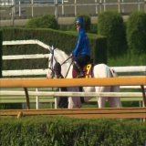 ヴィクトリアマイルに出走予定のソダシ 吉田隼人騎手を背に一週前追い切りが行われました \u203c\ufe0f  #うまＤＯＫＩ #ソダシ  #ヴィクトリアマイル