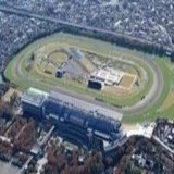 クロッカス買い目絞った。パドックからはニシノピウモッソ、サトノヴィレ、フロムダスク。  1月28日土曜予想ひとまとめ～開幕週でも東京オンリー～｜金色のマスクマン(仮) @keiba_maskman #note