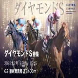 2/18 東京11R［ダイヤモンドS］【B】  フォロー&amp;リツイートで無料  今年中央絶好調【P指数】 \u25ceラブケリー（12.9倍）7万馬券 \u25ceエレガント（12.9倍）2万馬券 \u25ceアーバンデザ（8.7倍）3万馬券 \u25ceペイシャフ（22.9倍）4万馬券 \u25ceサルサロッサ（10.3倍）53万馬券