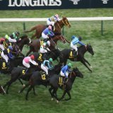 【東京11RキャピタルS 3歳以上オープンL 芝1600ｍ】 1着\u2463ララクリスティーヌ（菅原明） 2着\u246aトリプルエース 3着\u2470ノルカソルカ  スワンS２着のララクリスティーヌが混戦を制しました！  #JRA #ラジオ日本競馬