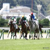 東京10R・クロッカスSはインの好位で脚を溜めたヤクシマが直線力強く伸びて1着！ルメール騎手は今日5勝目！ #競馬 #ヤクシマ