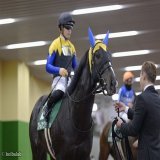 【23年ぶりの優勝】 きさらぎ賞&times;金子真人オーナー (2.5.0.4) 00年 1着 シルヴァコクピット 03年 2着 サイレントディール 04年 2着 ブラックタイド 20年 2着 ストーンリッジ  21年 2着 ヨーホーレイク 22年 2着 ダンテスヴュー 23年 1着 フリームファクシ #フリームファクシ