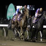 【3連勝、そして3度目の優勝へ】 01時05分発走予定 サウジダービー ダート1600m エコロアレス 福永祐一 コンティノアール 坂井瑠星 デルマソトガケ 松若風馬 フロムダスク 川田将雅 日本馬が勝てばサウジダービー通算3勝目。 #競馬 #サウジダービー