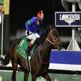 今夜のスケジュール(日本時間) 21:05 ゴドルフィンマイル(日本馬3頭) 22:50 UAEダービー(日本馬5頭) 23:25 ドバイゴールデンシャヒーン(日本馬4頭) 00:10 ドバイターフ(日本馬3頭) 01:00 ドバイシーマクラシック(日本馬3頭) 01:35 ドバイワールドカップ(日本馬8頭)