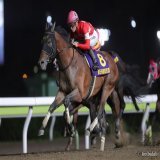 【砂の国でバースデーVへ】 本日3月25日は、日本時間の今夜、ドバイゴールデンシャヒーンに挑戦するレッドルゼル(16年3月25日生)、ゴドルフィンマイルに挑戦するバスラットレオン(18年3月25日生)の誕生日。バースデーVなるでしょうか。 #レッドルゼル #バスラットレオン