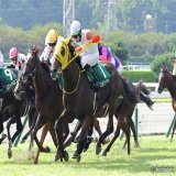\u246aシェーンプリマー 永野 \u246bブーケファロス 菅原明 \u246cアスクドリームモア 岩田康 \u246dヤクシマ 岩田望 \u246eノーブルラン 津村 \u246fスピードオブライト 石川 \u2470ロッソランパンテ 木幡巧 \u2471ロンドンプラン 松山 #競馬  #keiba #京王杯2歳S