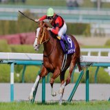 令和のサイレンススズカと呼ばれその強さを見せつけた武豊騎手と逃げる栗毛のジャックドール 本当におめでとうございます！ #ジャックドール #武豊 騎手 #大阪杯 #阪神競馬場