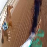 WOW This is horsemanship level @FrusiyaClub