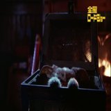 金曜よる時 #グレムリン  可愛くて、いたずら好き 不思議な生き物&ldquo;モグワイ&rdquo;が クリスマスに巻き起こす大騒動  かわいいペットが、 分裂し凶暴なグレムリンに変身！？  家族そろってドキドキしながら 楽しめる作品です #金曜ロードショー