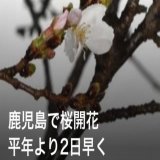 おはようございます  昨日のサッカー サッカー日本代表引き分け  スピッツメジャーデビュー32周年 おめでとうございます  各地域ではイベントあるけど雨天のため中止あるのでは 桜開花宣言でも今日は雨  雨の週末ですが素敵な１日を 電気記念日　自愛の日 #おは戦50325md