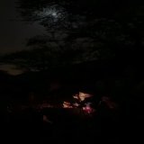 الوقت حملني على غير ماطيق  والعقل من كثر التفاكير فوت