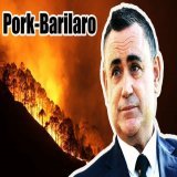 Pork Barrelling FLOWS through the NSW Coalition's veins.  Not even disaster relief for deadly bushfires is out of their reach.   #auspol   #nswpol  They just aren't great at hiding it (*cough* John Barilaro).  Full YouTube Vid: