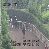 【#須貝厩舎】 G1馬2頭の豪華すぎる坂路競演  #ドルチェモア　前走サウジアラビアRC一週前追いきりでソダシと併入  #ソダシ の調教パートナー #朝日杯フューチュリティステークス 制す  2頭の共通点 ・スタート抜群で前目からいい脚が使える ・無傷の3連勝、1番人気で2歳G1制覇#阪神JF #朝日杯FS