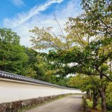 好古園東側の通路(園の外側) 金曜ロードショー｢るろうに剣心 京都大火編」ご覧いただけましたでしょうか？ 大久保利通が暗殺されるシーンで、剣心(佐藤健さん)と宗次郎(神木隆之介さん)が絡むシーンが撮影されました。  #るろうに剣心 #佐藤健 #神木隆之介 #好古園 #japanesegarden #姫路観光 #himeji