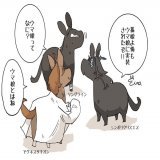 えいた様にリアル推し馬のソングラインとそのおじいちゃん(シンボリクリスエス)とひいおじいちゃん(アグネスタキオン)を描いてもらいました！かわいい！  明日の出走するセントウルステークス頑張ってー！ あと君もウマ娘になら(  #ソングライン #セントウルステークス