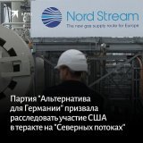 В немецкой партии ссылаются на то, что лауреат Пулитцеровской премии Сеймур Херш публично заявил, что президент США Джо Байден стоит за диверсией на &laquo;Северных потоках&raquo;:    #северный_поток #спецоперация #Байден