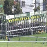 【函館スプリントステークス】  \ud83e\udd47 7️⃣ナムラクレア(1番人気)  \ud83e\udd48 1️⃣ 1️⃣ジュビリーヘッド(7番人気)  \ud83e\udd49 5️⃣タイセイアベニール(13番人気)   1番人気の3歳牝馬ナムラクレアが 50kgの斤量を生かして 早めに抜けだし重賞2勝目 2着に7番人気、3着は13番人気が入り 3連単は8万馬券となった