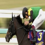～The LEGEND～\u266a  ～21年菊花賞。その馬の父は2冠を達成するも故障により出走出来なかった。23年ぶりの逃げ切り勝ち、そのときの鞍上は彼の父であった。他を絶望させる5馬身差の圧勝。その強さに人々はそれぞれの父親を想起した。 タイトルホルダー 想いを受け継ぎ、己を覚醒させろ！  菊花賞～