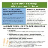 The extra payment for the Supplemental Nutrition Assistance Program (SNAP), officially called the Emergency Allotments, will end in February 2023. Starting in March, you will only get your regular SNAP payment loaded to your EBT card in the first hal