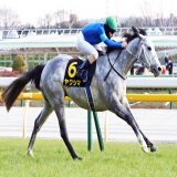1月28日のクロッカスS(3歳上オープン・リステッド、芝1400メートル＝10頭立て)は、3番人気のヤクシマ(牡、栗東・寺島良厩舎、父ハヴァナグレイ)が、直線で抜け出してオープン初勝利を飾った。勝ち時計は1分21秒1(良)。  &hellip;