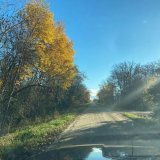 MN is still showing off \ud83c\udf41\ud83c\udf42I think I&rsquo;ll be asking for a tamarack for Mother&rsquo;s Day