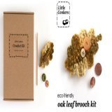 Complete, eco-friendly kit to make a beautiful oak leaf brooch. Full details here:   #EcoGifts #CraftKit #LittleConkers
