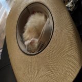 he would like a lil yeehaww goodnight