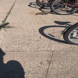 y&rsquo;all i just fed a squirrel