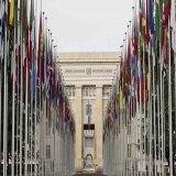 Pls help ACTUAL SWs &amp; survivors SPEAK FOR OURSELVES at the UN H.R.C 5th periodic review of US fulfillment of their duties under the Intl. Covenant on Civil and Political Rights! We will teach them: resource distribution &amp; decrim ARE trafficki