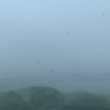 #HurricaneLisa: Taken moments ago on Turneffe Atoll as Lisa continues to make its way across Belize.