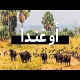 فيلم وثائقي عن أوغندا | رحلة سفاري على الطرق الوعرة بسيارة 4x4 \ud83c\uddfa\ud83c\uddec