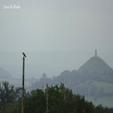 A Buzzard perched in front of Glastonbuty Tor. Taken yesterday on a walk in the fields near my house. #bird #birdphotography #TwitterNaturePhotography #birdwatching #birding #BirdsOfTwitter #glastonburyTor #BirdTwitter #TwitterBird
