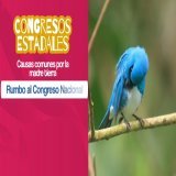 ¡El futuro es ecosocialista! Iniciamos las Asambleas Estadales Preparatorias. Más que una reunión, es el espacio donde el pueblo construye la defensa de nuestra Pachamama. ¡Súmate al Gran Congreso Nacional!