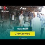 بائعو الدجاج: غلاء الدواجن بلا حلول حتى الآن وإقبال المواطنين تراجع بأكثر من النصف