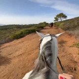 الحياةُ سباقُ خيل  البعضُ فيه فُرسان  والبعضُ الآخر خَيل