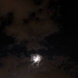 مها الرودينى  صراحة الإسم بالنسبالى مفاجأه &mdash; اولا مها الرديني .. ثانيا مش شايفه ان اسمي مفاجأة الصراحه