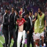フランス－チュニジア戦でサポーターが乱入 サッカーW杯
