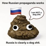 Russia has begun buying ammunition from North Korea - Washington Post citing US intelligence sources #NAFO #NAFOfellas #UkraineWillWin