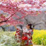 明日のルヴァンカップ楽しみだ 桜満開がみたい！