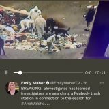 #BryanKohberger #brianwalshe #AnaWalshe #anawalshemissing   another American  tragedy! In the making! smh! Also another psychotic #brian smh  poor #AnaWalshe