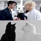 You all know what needs to be done. All the cat pages forced to learn Seonghwas name were training for this day.