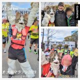 #ランプラ 42.195キロ 着ぐるみでフルマラソン完走！ やってやったぜ！  本当に多くの人から声援をいただきました。 見知らぬ人との会話、掛け声、大阪のノリほんまに最高！  全ての沿道で応援してくださった方・ボランティア・関係者にお礼を申し上げます。 ありがとうございました！