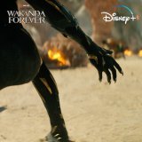 For Wakanda.   Marvel Studios&rsquo; Black Panther: #WakandaForever is now streaming on @DisneyPlus.