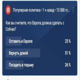 Опрос на канале команды Навального. Интересную они, конечно, аудиторию себе набрали