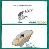 There is approximately a two-year learning curve to transition from "blockchain, not #Bitcoin" to "#Bitcoin, not blockchain."   Based on this estimate, we are now less than 1 year away from a mass ALT-to-#BTC conversion.   The fence around your yard 
