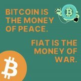 It is of utmost importance that USA adopt not only #Bitcoin as an asset, but also the entire network and all that it entails (Softwar/Haswar).    #Bitcoin is a cyber force, not merely money.   It is a nuclear-resistant, transnational sovereign entity