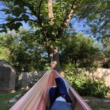 Nice evening for a hammock and hanging out with my dog. Not too hot at all today.