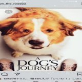 明日の #金曜ロードショー は #僕のワンダフルジャーニー  #僕のワンダフルライフ に続き 映画館で涙腺崩壊しました 個人的にモコの四十九日の日に嬉しいですペット飼いさんには,ほんま,たまらない映画だと思います^^。#金ロー