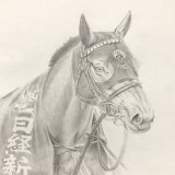 #日経新春杯  歴代優勝馬シリーズ  黒髪なびかせて初重賞を寿ぐ  #ヨーホーレイク